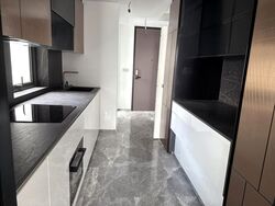 One Bernam (D2), Apartment #508017761